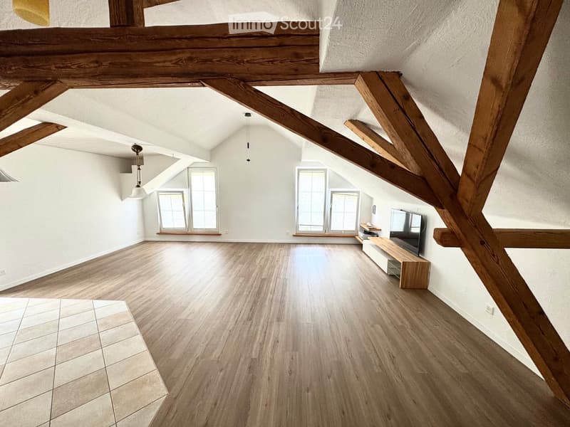 Helle 3 -Zimmer-Dachwohnung mit Loft-Charakter und Weitblick (2)