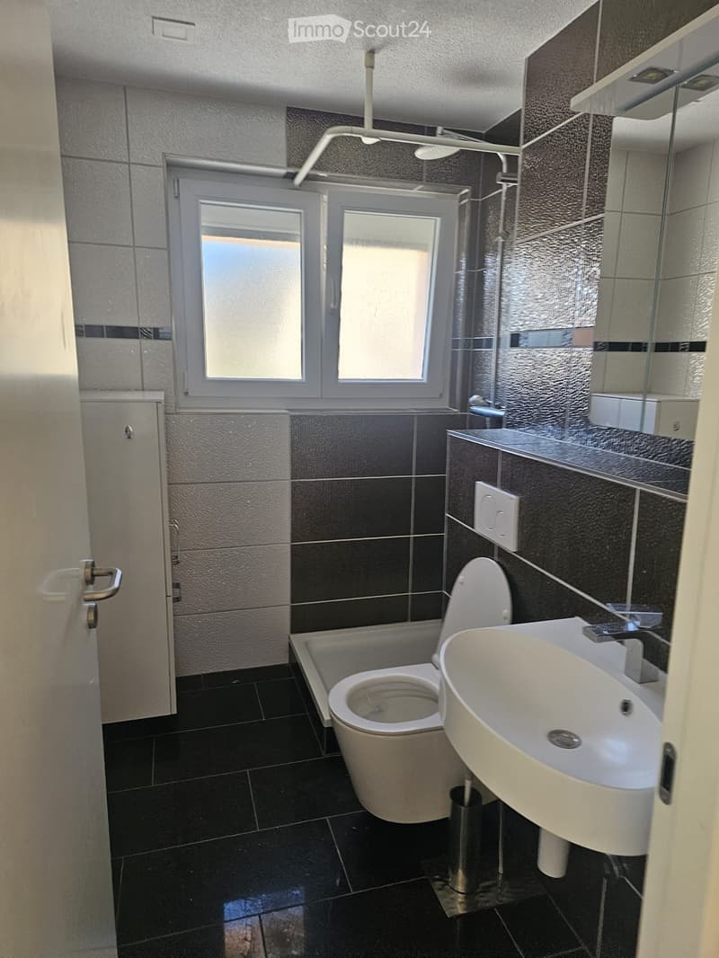 Neu renovierte 3.5-Zimmer-Wohnung im 1. Obergeschoss (4)