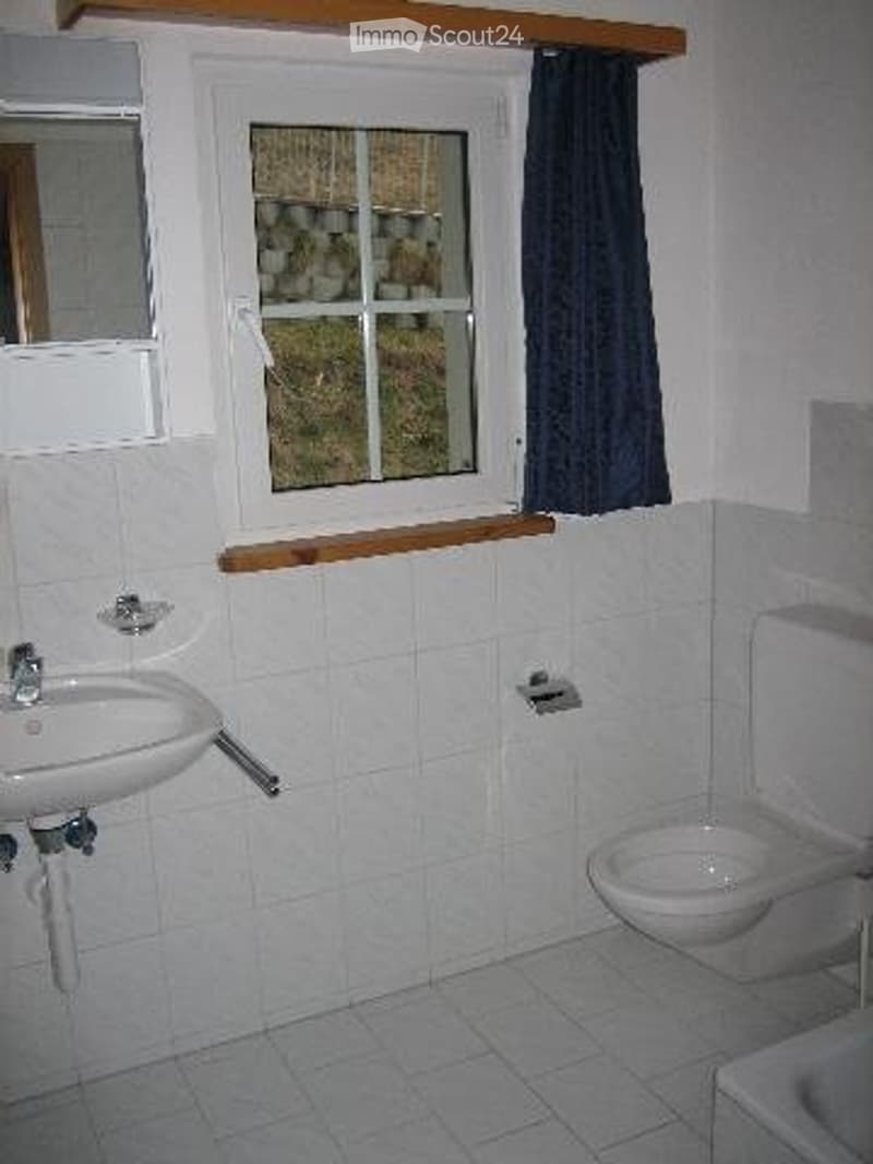 Tolle Singlewohnung (4)