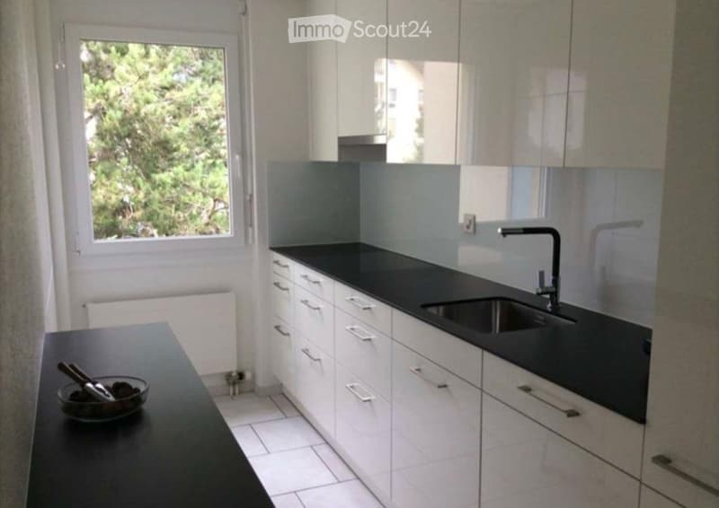 zu Vermieten 4 1/2 Zimmer Wohnung (2)