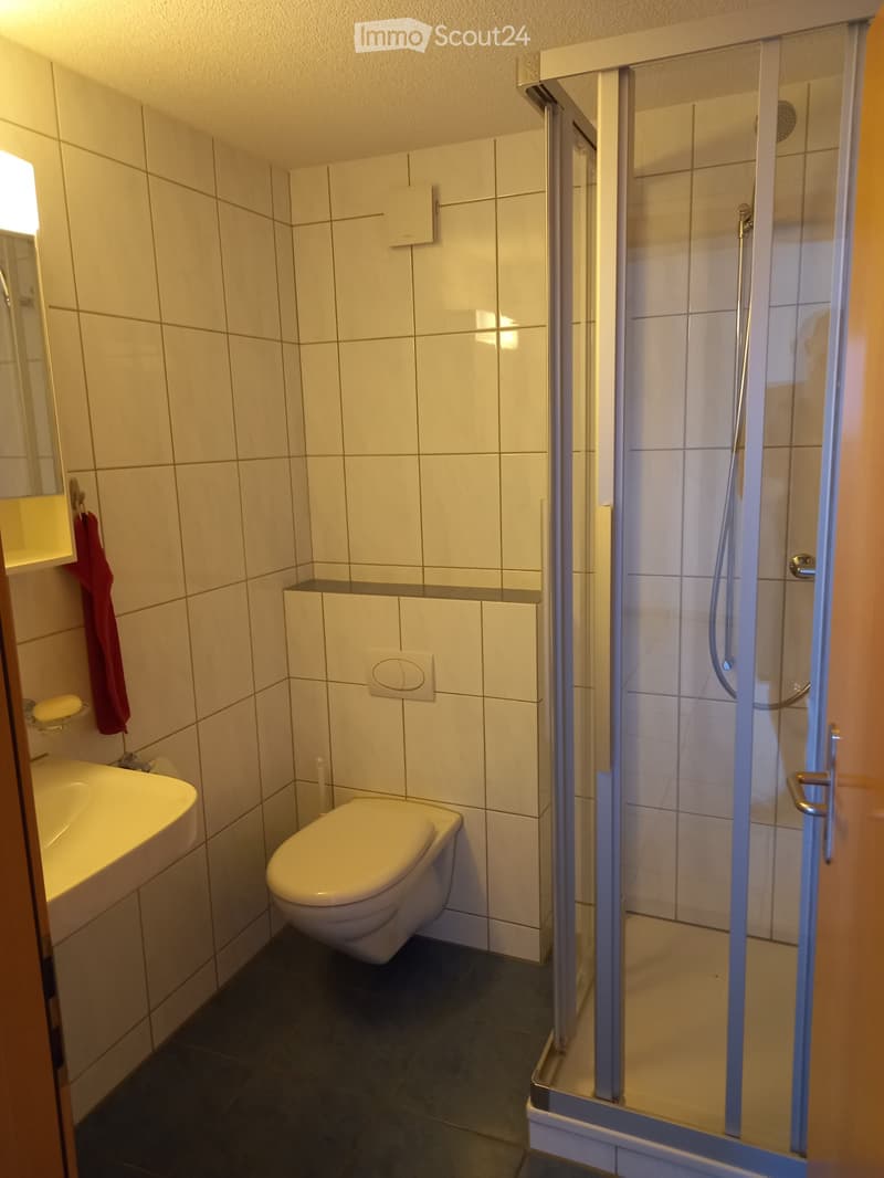 Zu vermieten 1.5 Zimmer-Studio (2)