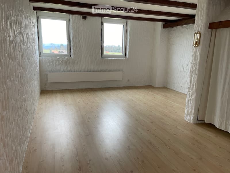 Charmante 3.5-Zimmerwohnung mit grosszügigem Grundriss (4)