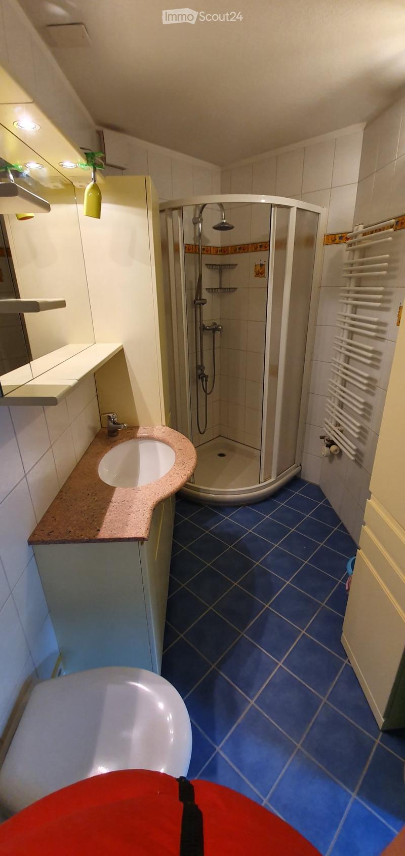 Faido, affittasi appartamento 3,5 locali (3)