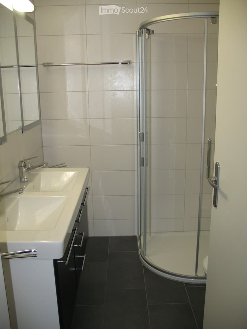 Neu renovierte 5½-Zimmer-Dachwohnung mit Galerie und Balkon (5)