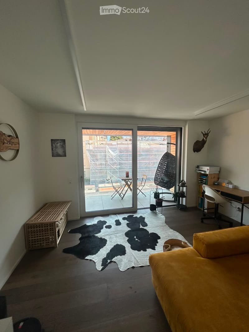 Grande appartamento 2.5 locali a Muralto (5)
