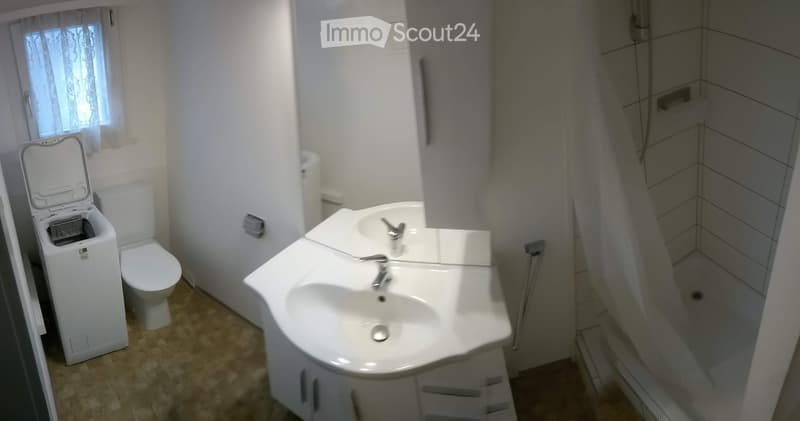 Geräumige 1 ½ Zimmer-Einlieger-Parterre-Wohnung zu vermieten (4)