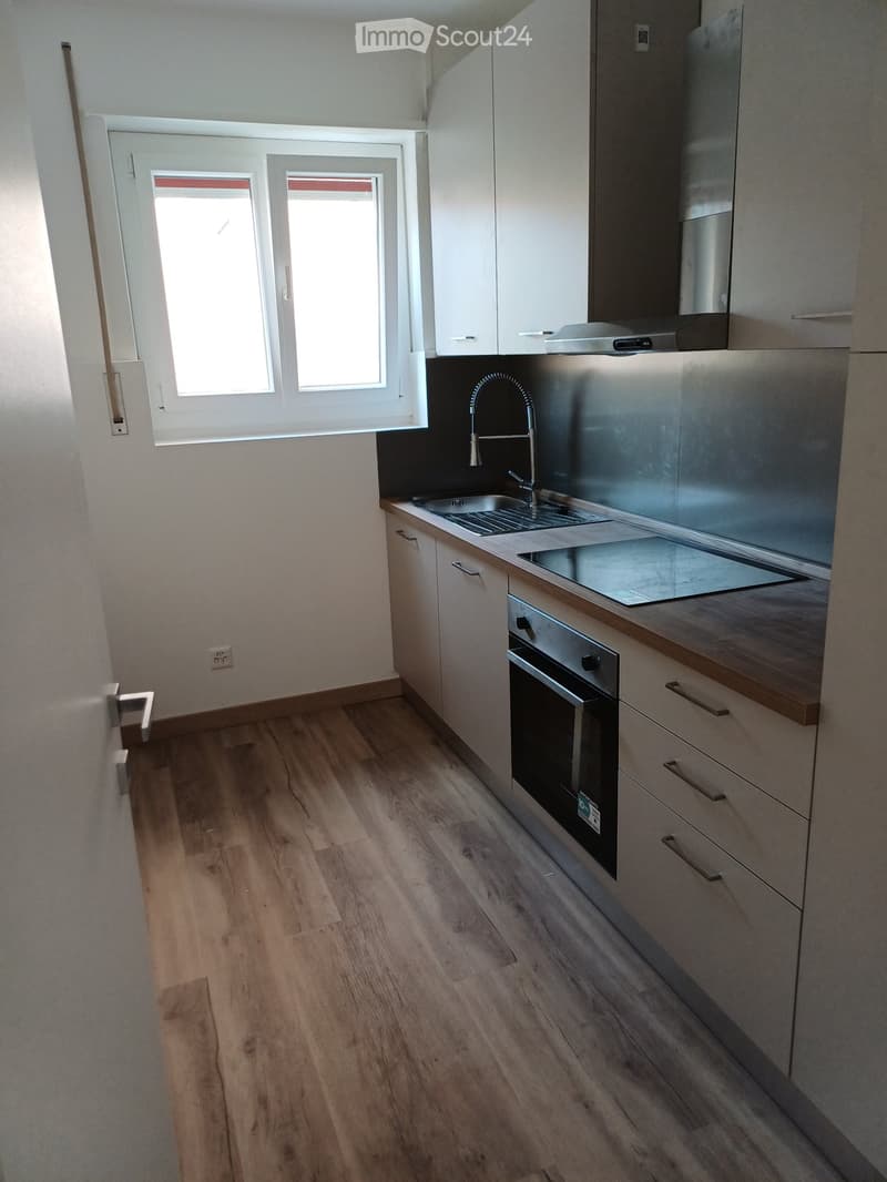Appartamento 3.5 Cassarate/Viganello di Lugano, Via Lido (4)