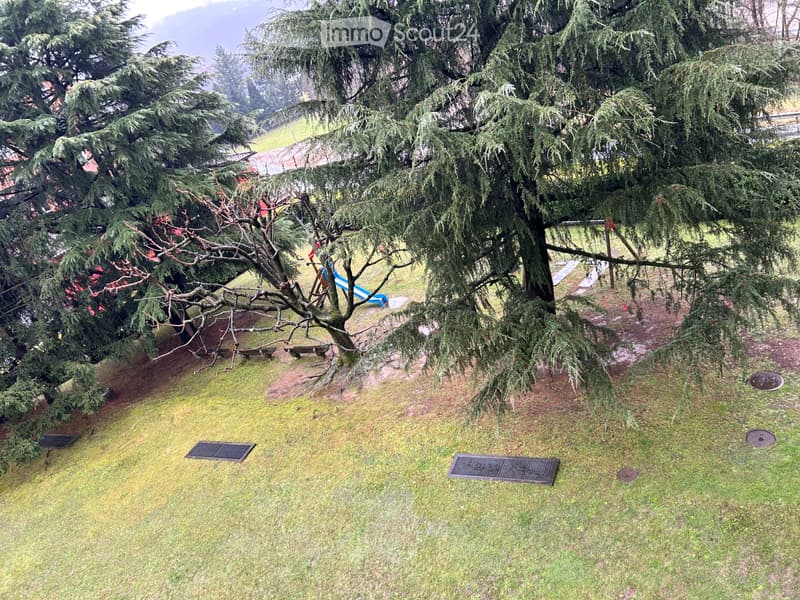 2.5 locali rinnovato con grande terrazzo e posteggio (3)