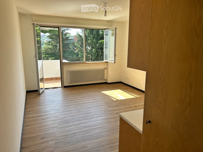 2.5 locali rinnovato con grande terrazzo e posteggio (2)