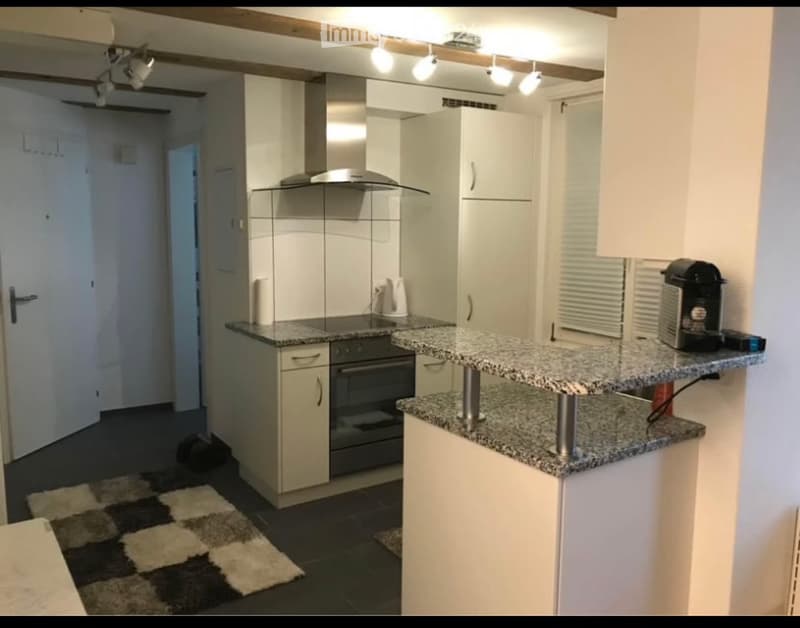 1,5 Zimmer-Wohnung in Heinrichswil (2)
