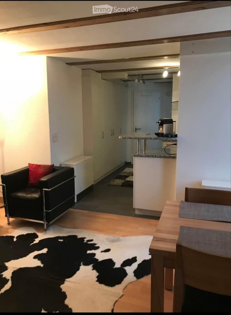 1,5 Zimmer-Wohnung in Heinrichswil (3)
