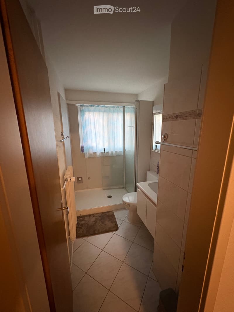 3.5 Zimmer-WHG inkl. 1x PP grosszügig und teilsaniert (4)