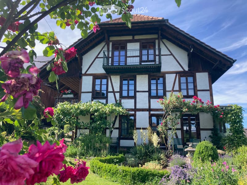 Spezielle Dachwohnung in Uttigen (bei Thun) (1)
