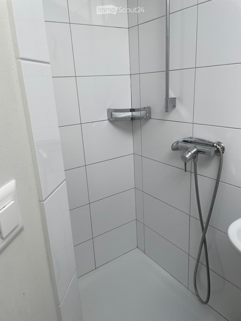 Altbauwohnung (4)
