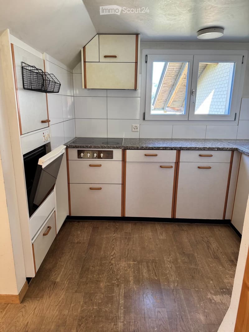 Altbauwohnung (3)