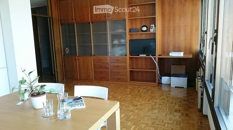 Lugano. affitto appartamento arredato o no (3)