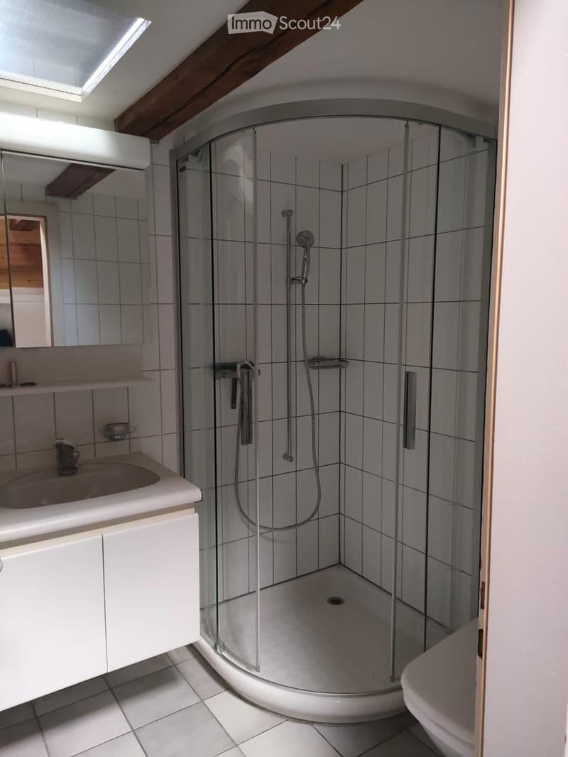 4,5 Zimmer Dachwohnung, 1750.- inkl. NK (4)