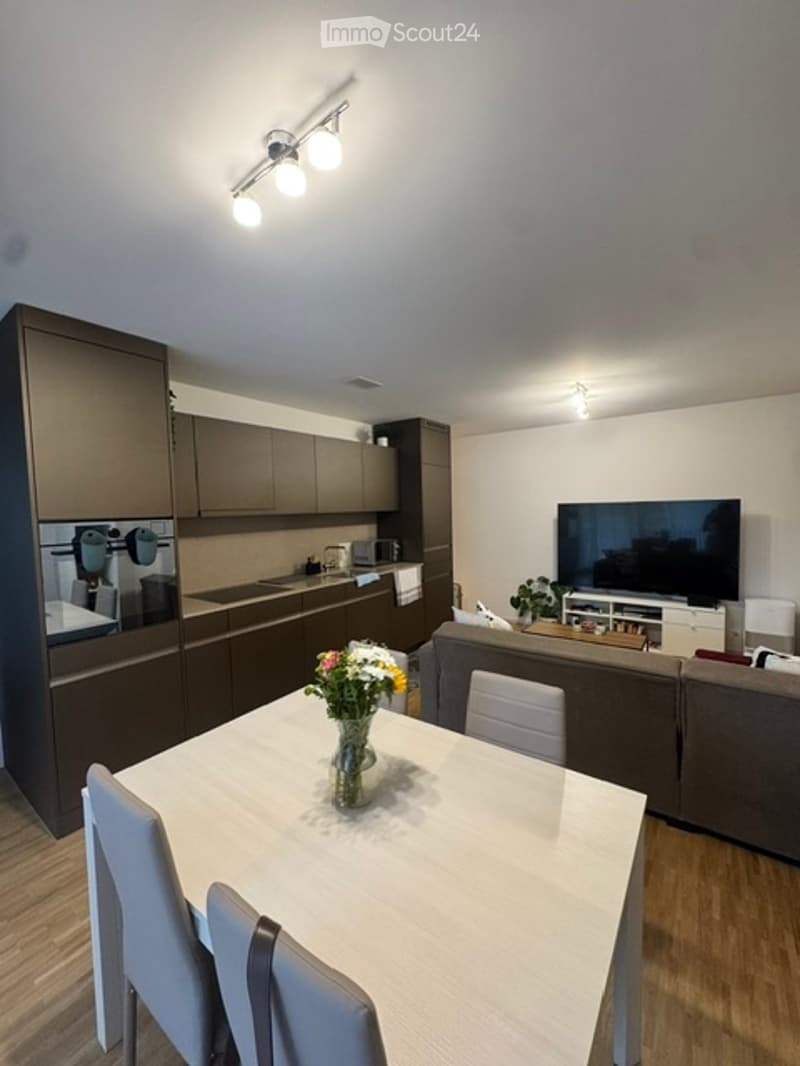 Nachmieter gesucht moderne 2.5-Zimmer-Wohnung in Zürich (1)