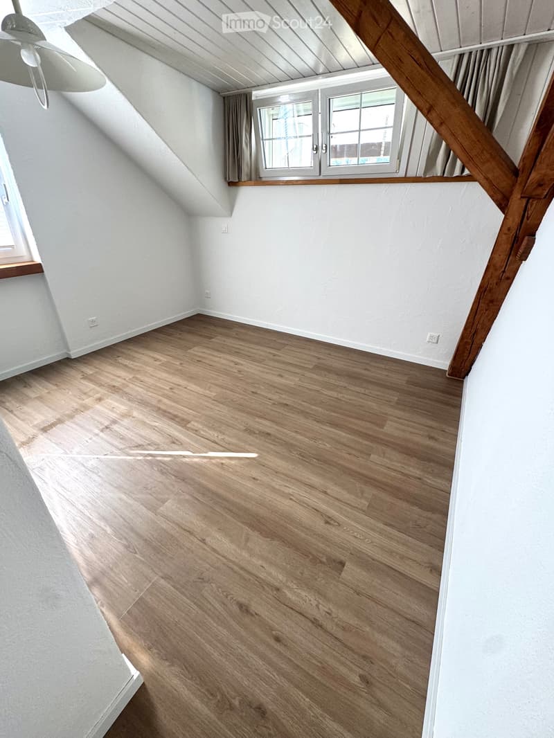 Helle 3 -Zimmer-Dachwohnung mit Loft-Charakter und Weitblick (3)