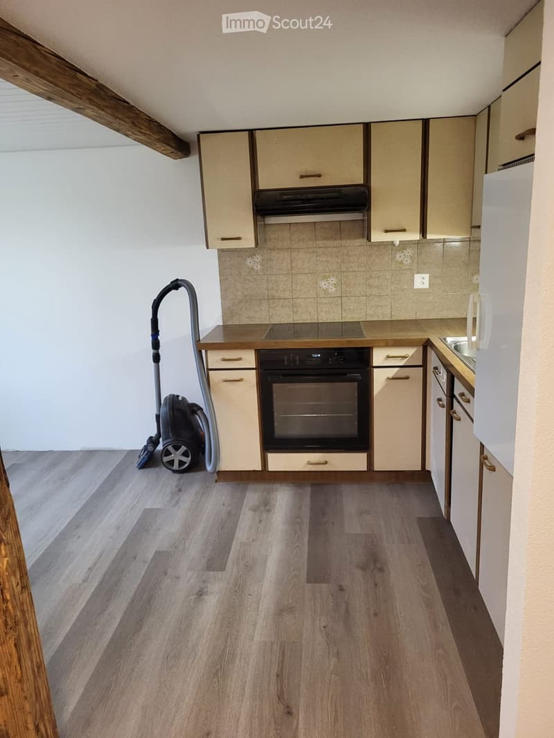 2.5 ZH-Wohnung (4)