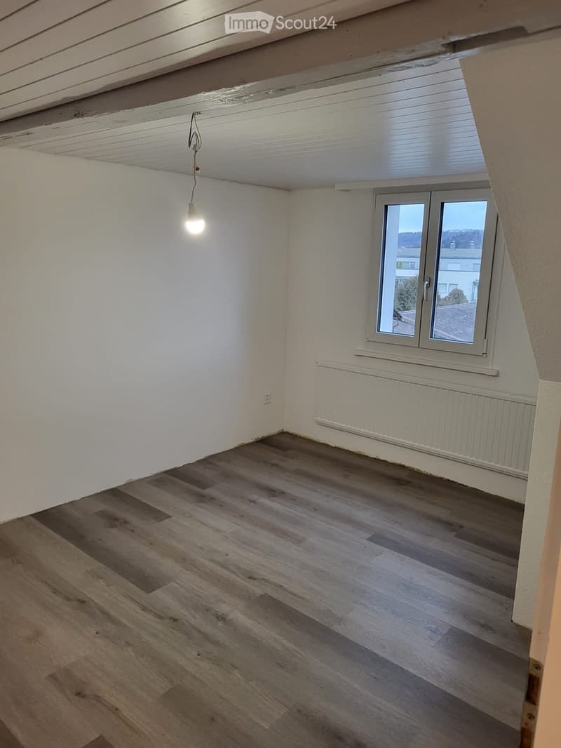 2.5 ZH-Wohnung (2)