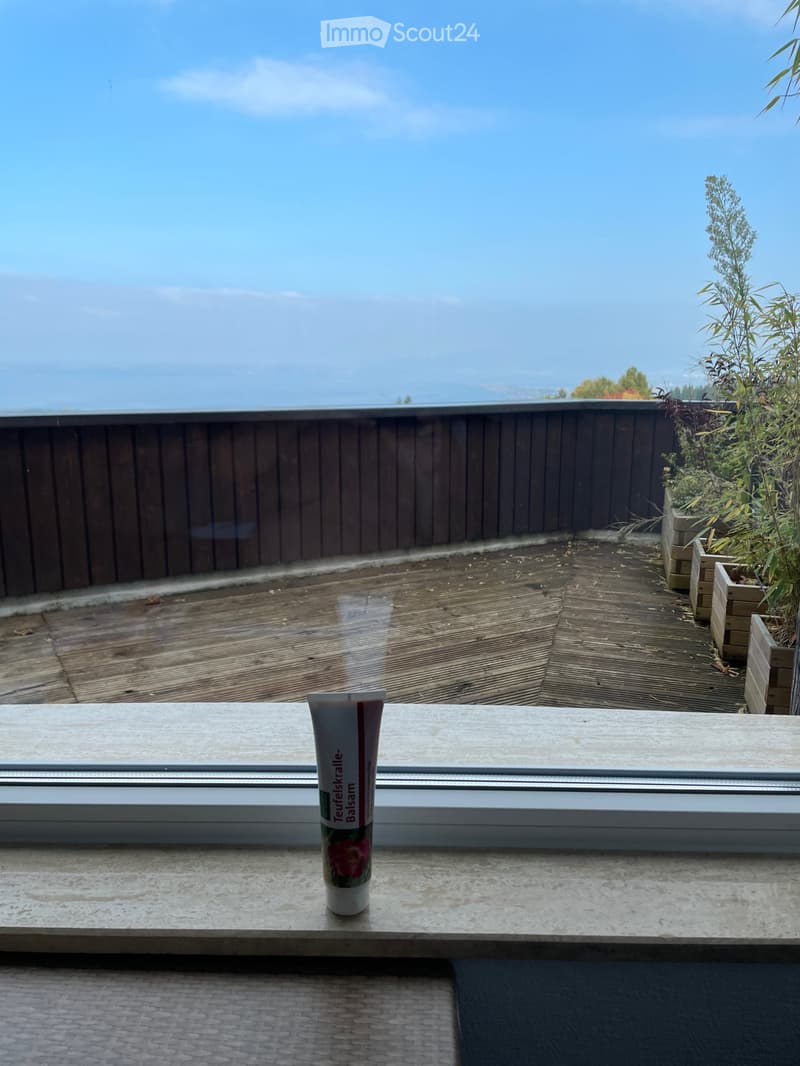 Suche NM für Studio Bodenseeblick / gr. Balkon, ab sofort (5)
