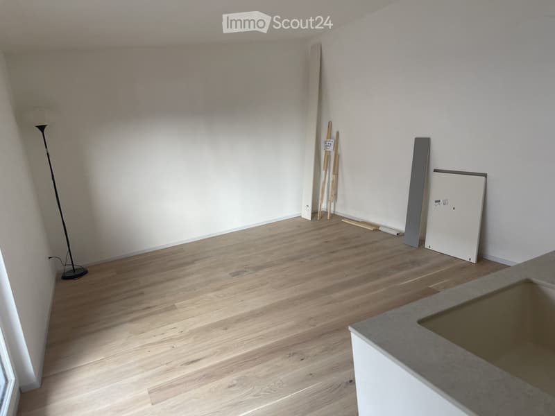 Newly Renovated, Bright Studio Seefeld Tiefenbrunnen (3)