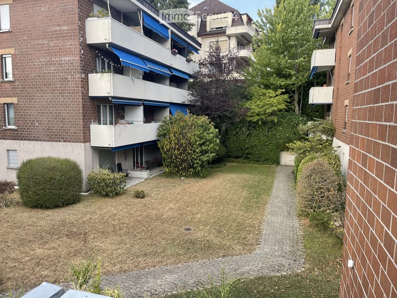 Newly Renovated, Bright Studio Seefeld Tiefenbrunnen (1)