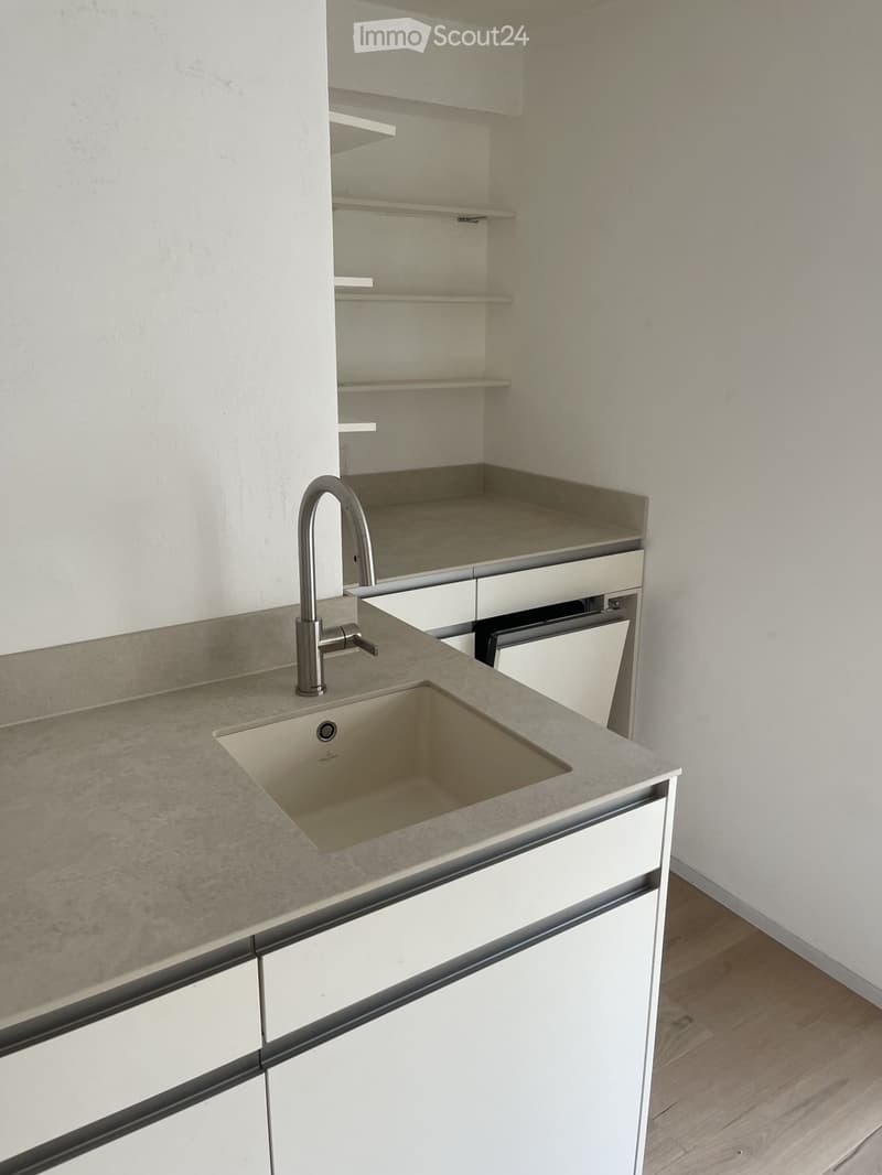 Newly Renovated, Bright Studio Seefeld Tiefenbrunnen (2)