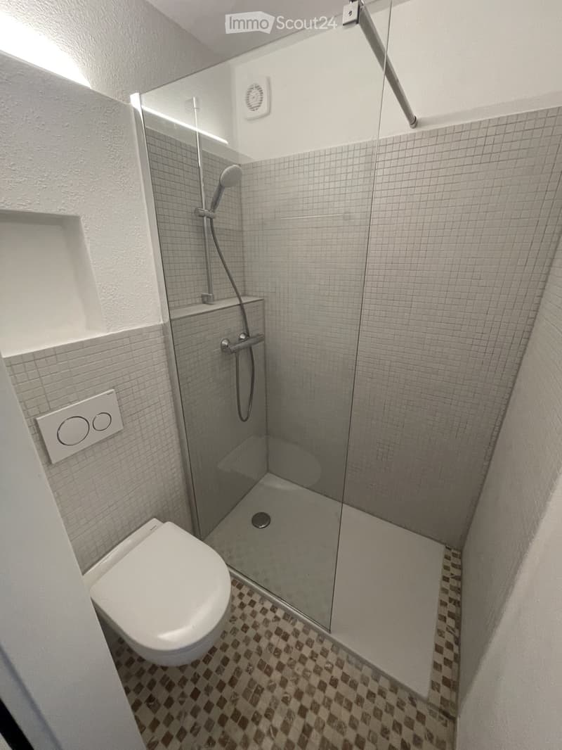 Newly Renovated, Bright Studio Seefeld Tiefenbrunnen (4)