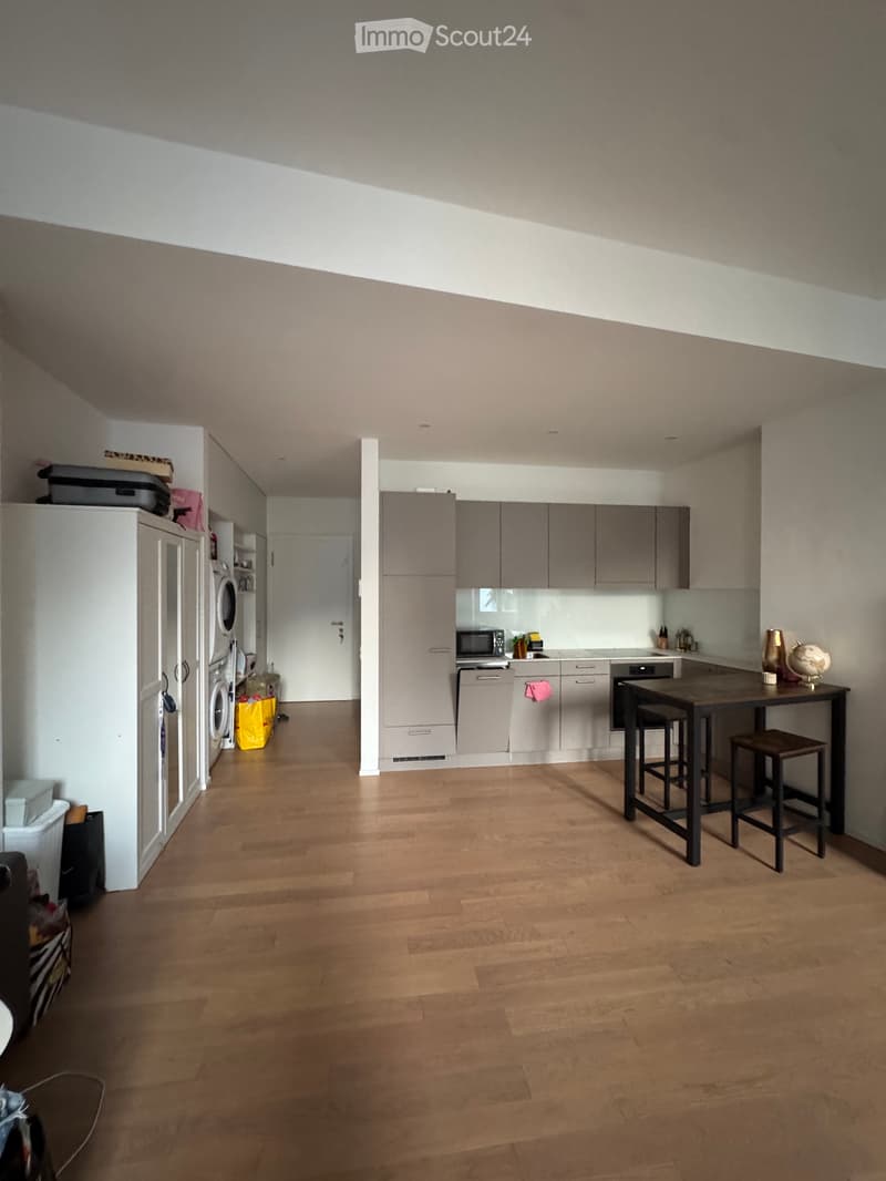 Appartamento a Locarno (3)