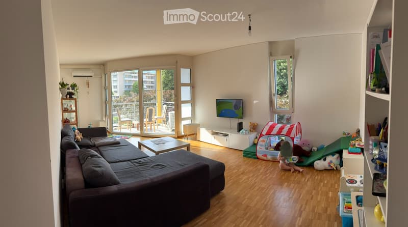 URGENTE cerco subentrante 3.5 locali a Massagno (1)