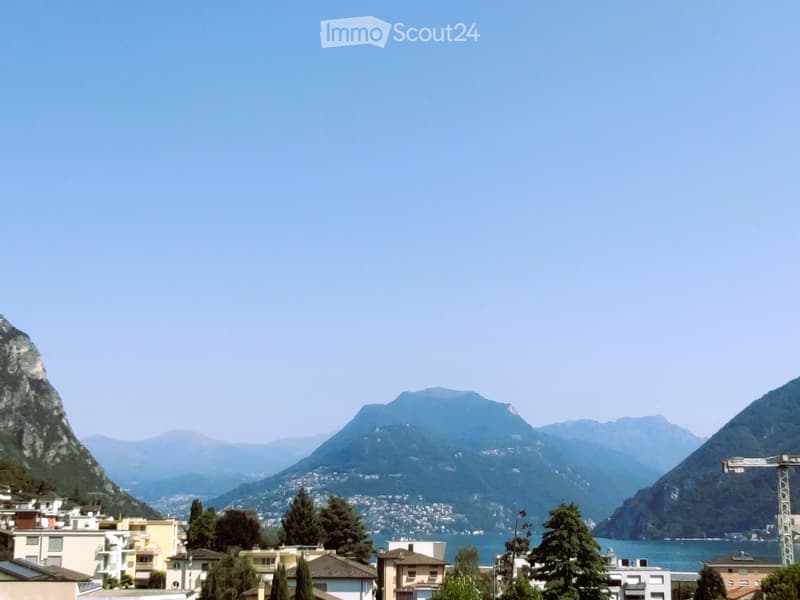 Exklusives Attikawohnung mit See und Berge Panoramablick360 (2)