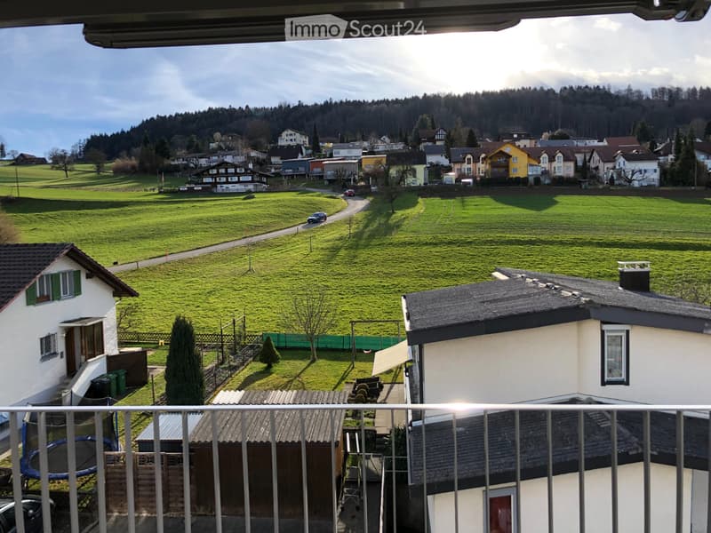 Ruhige 3 1/2-Dachwohnung, Sicht ins Grüne (3)