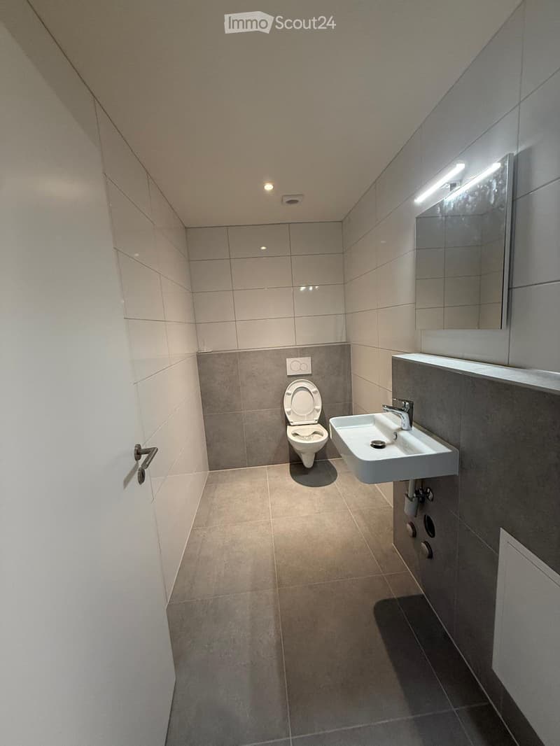4.5-Zimmer-Attikawohnung mit Gartenplatz & Swimmingpool (4)