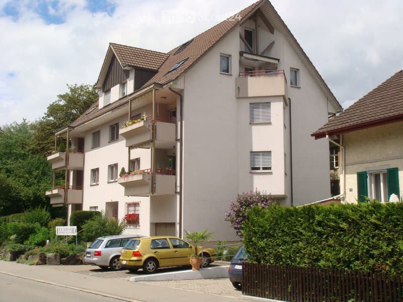 Schöne gepflegte 3.5 Zimmer Wohnung (1)