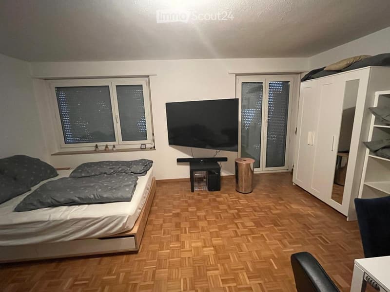 1.5 Zi, Stadt Winterthur, möbliert zur Dauermiete ab Okt/Nov (1)