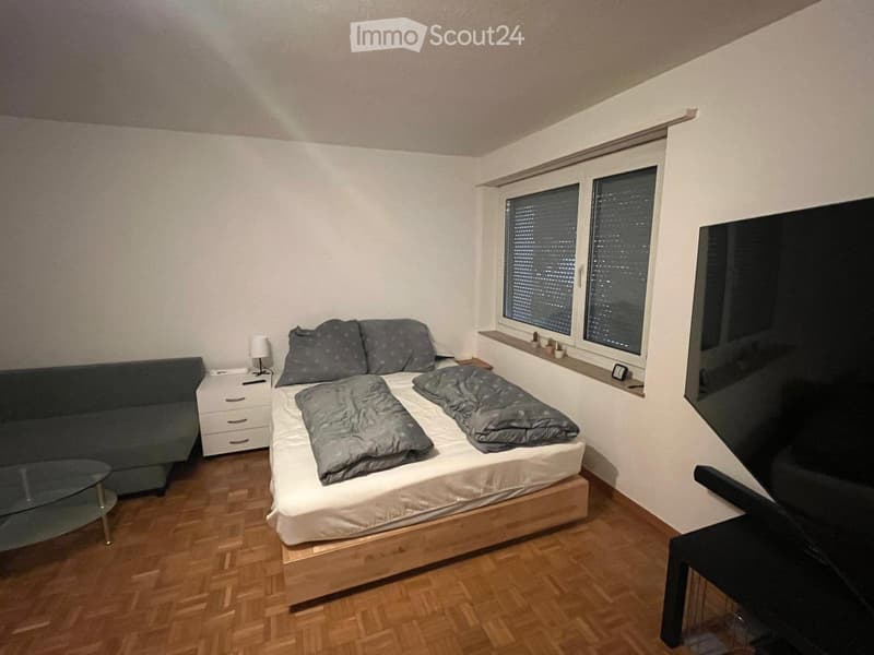 1.5 Zi, Stadt Winterthur, möbliert zur Dauermiete ab Okt/Nov (2)