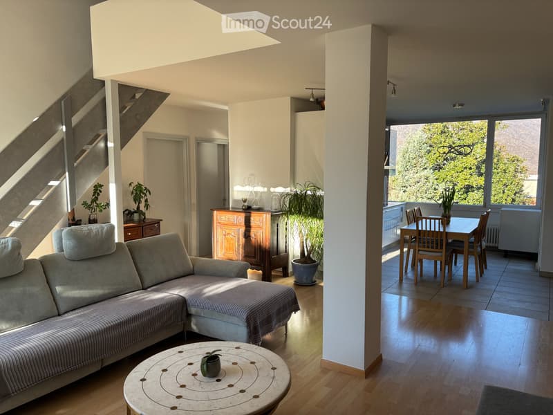 Appartamento duplex attico con vista panoramica (1)