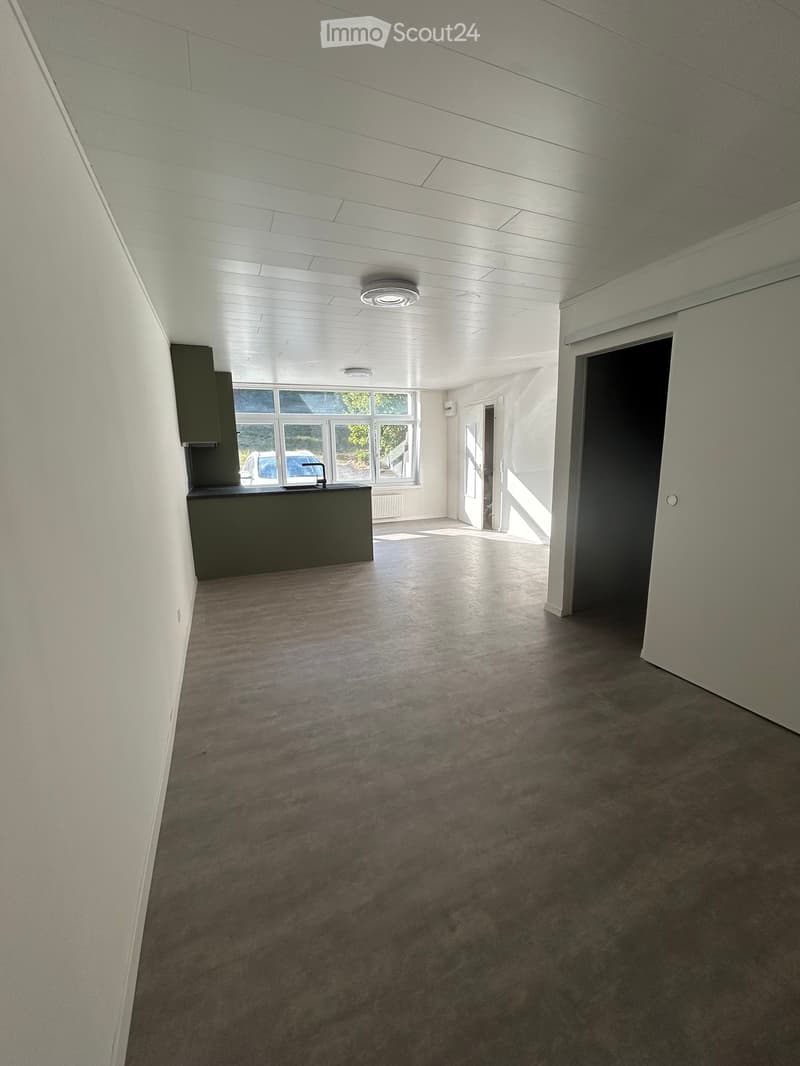 1 Zimmer Wohnung (3)
