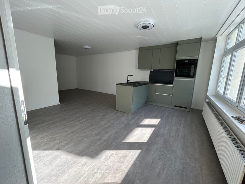 1 Zimmer Wohnung (2)