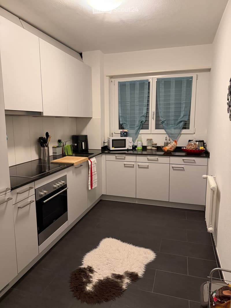 Cercasi subentrante appartamento 2.5 Bellinzona (3)