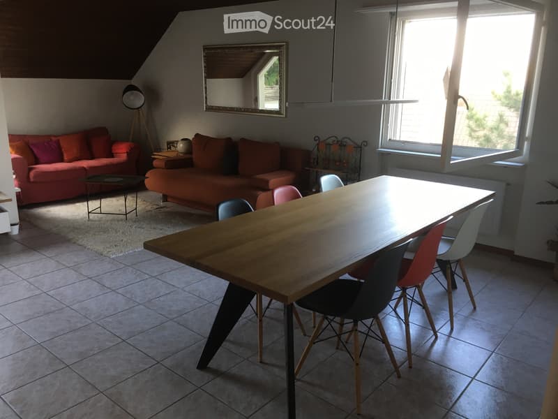 Renovierte helle 2.5. Zimmer Dachwohnung in Allschwil (2)