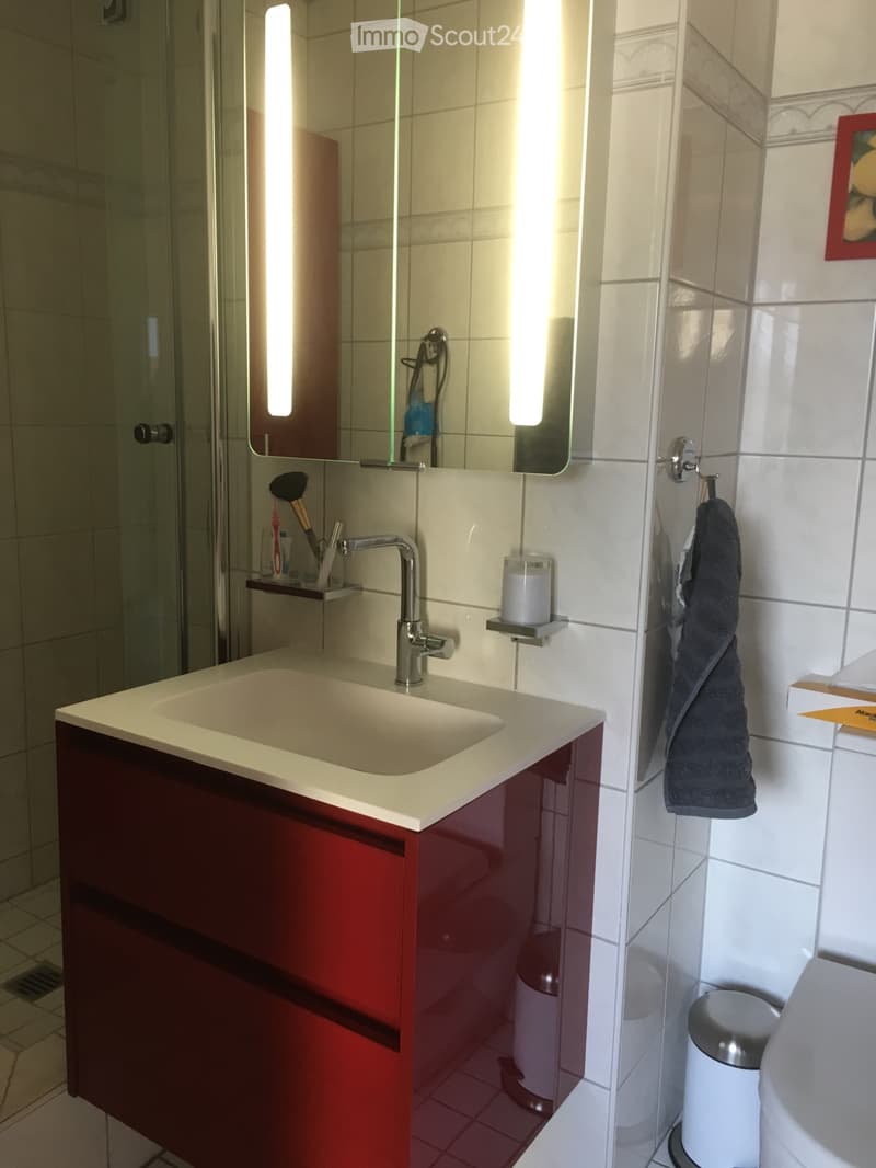Renovierte helle 2.5. Zimmer Dachwohnung in Allschwil (3)