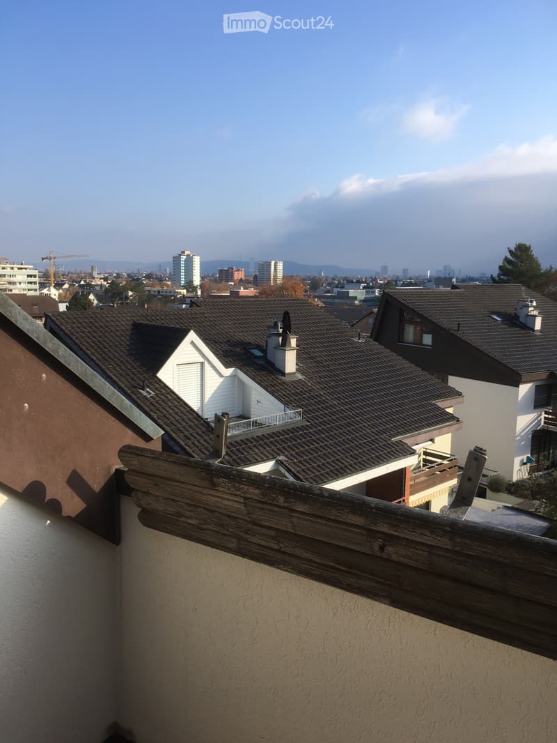 Renovierte helle 2.5. Zimmer Dachwohnung in Allschwil (4)