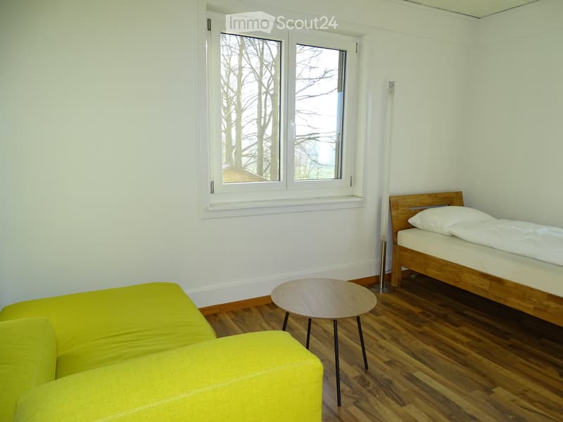 Schönes, helles und möbliertes WG Zimmer in EF Haus (4)