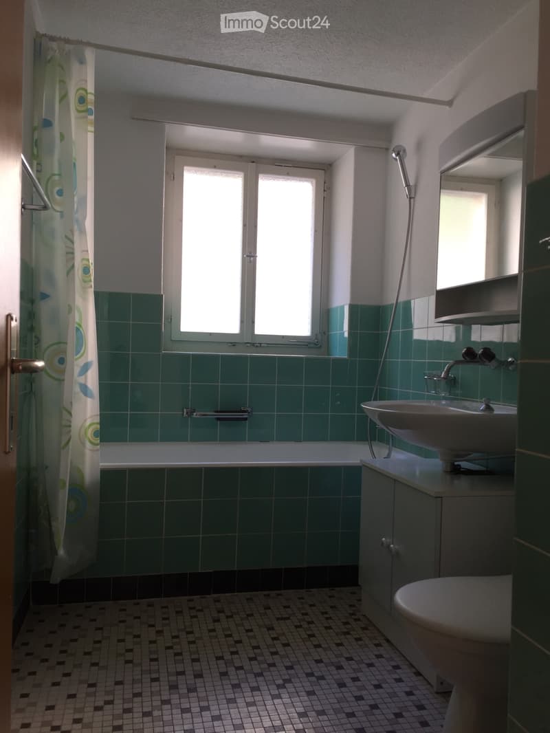 31/2 Zimmer Wohnung mit kleinem Auto, Töff Parkplatz (5)