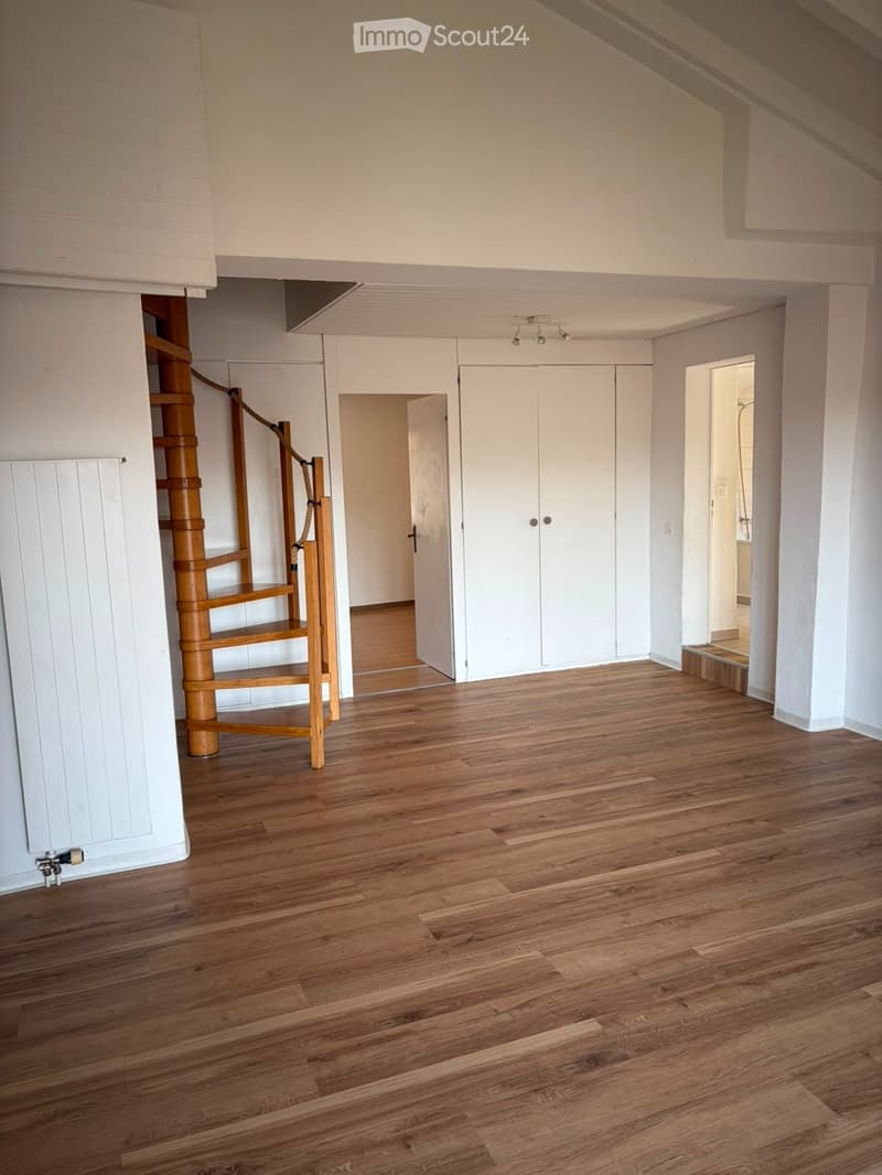 Appartamento 3 ½ oltre locale abitabile al PT (5)