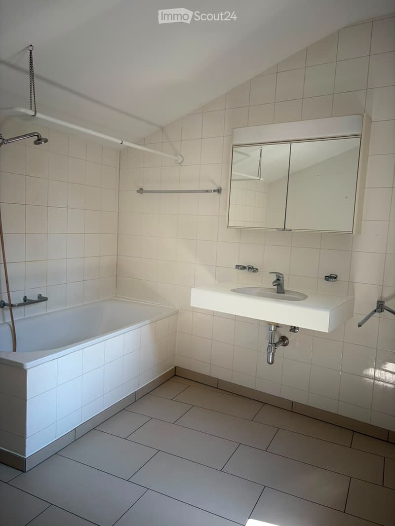Appartamento 3 ½ oltre locale abitabile al PT (4)
