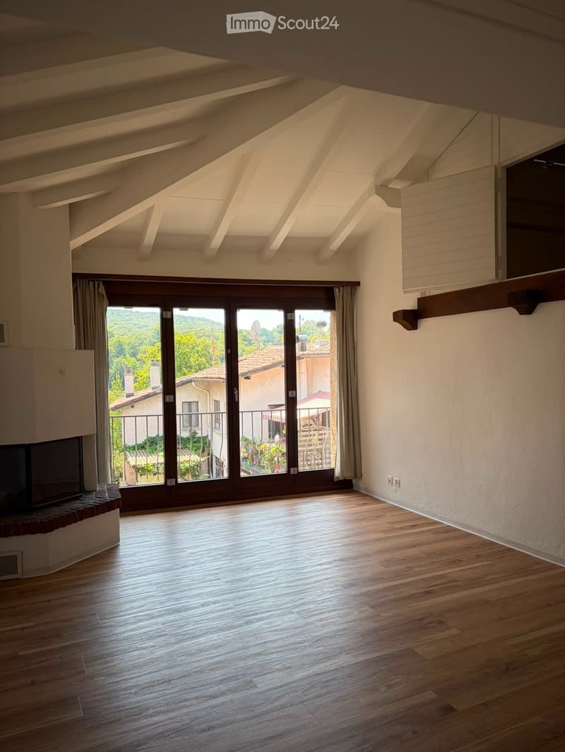 Appartamento 3 ½ oltre locale abitabile al PT (1)